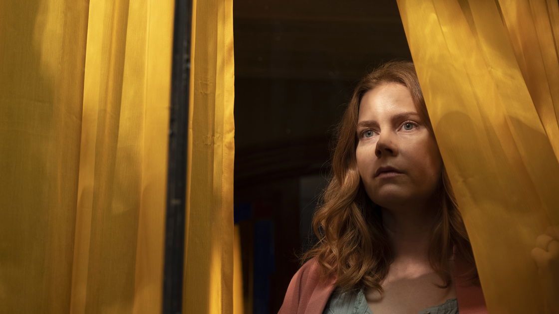 Copertina di Allucinazioni o verità? Il finale del film La donna alla finestra