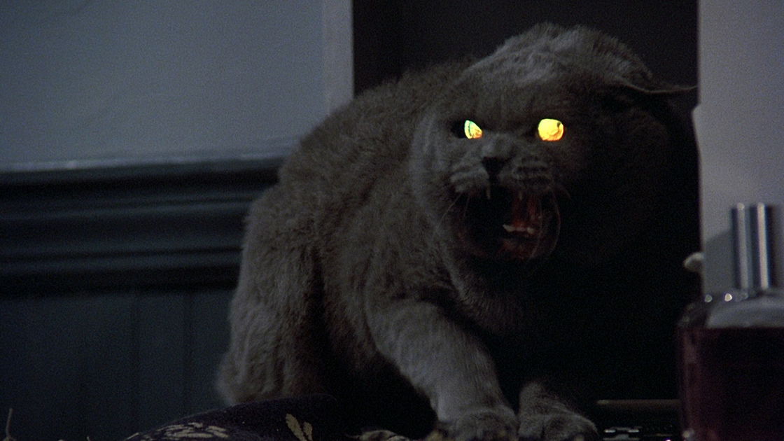 Copertina di Il remake di Cimitero Vivente (Pet Sematary) arriverà nel 2019
