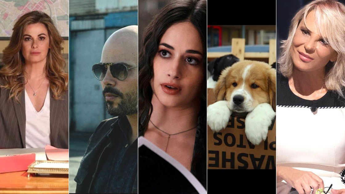 Copertina di Mediaset Infinity+, le uscite di gennaio 2023