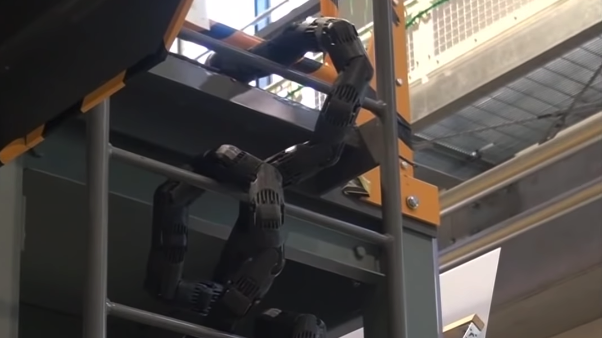 Copertina di Scienziati creano un robot serpente che si arrampica per le scale