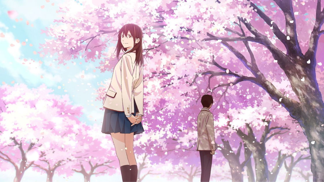 Copertina di Voglio mangiare il tuo pancreas: la trama e il finale del commovente film d'animazione
