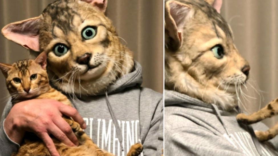 Copertina di La maschera realistica del propio gatto è incredibilmente inquietante