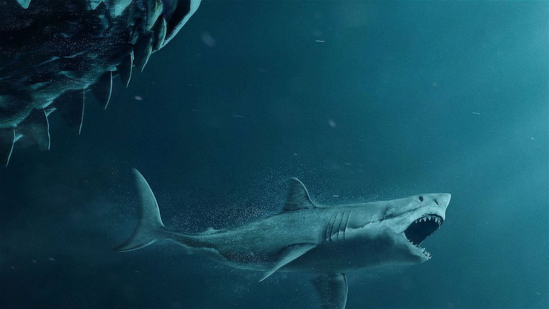 Copertina di Il sequel di Shark - Il primo squalo è già in lavorazione