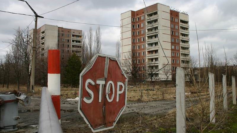 Copertina di A Chernobyl c'è una specie di funghi che usa le radiazioni per crescere (e potrebbe essere utile all'uomo)