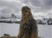 Taika Waititi su Star Wars: "Non farò un film sulla nonna di Chewbacca"