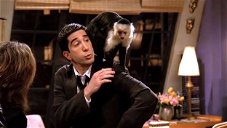 Copertina di La scimmia Marcel di Friends è ancora viva (e ha un nuovo ruolo in una serie TV)
