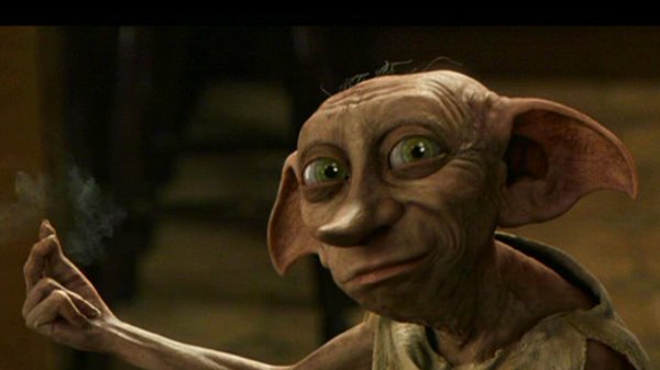 Copertina di Harry Potter: la tomba di Dobby è stata distrutta
