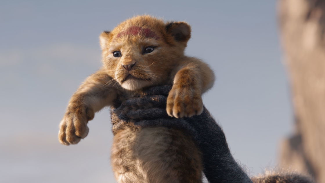 Copertina di Il re leone: personaggi e doppiatori (anche italiani) del remake Disney