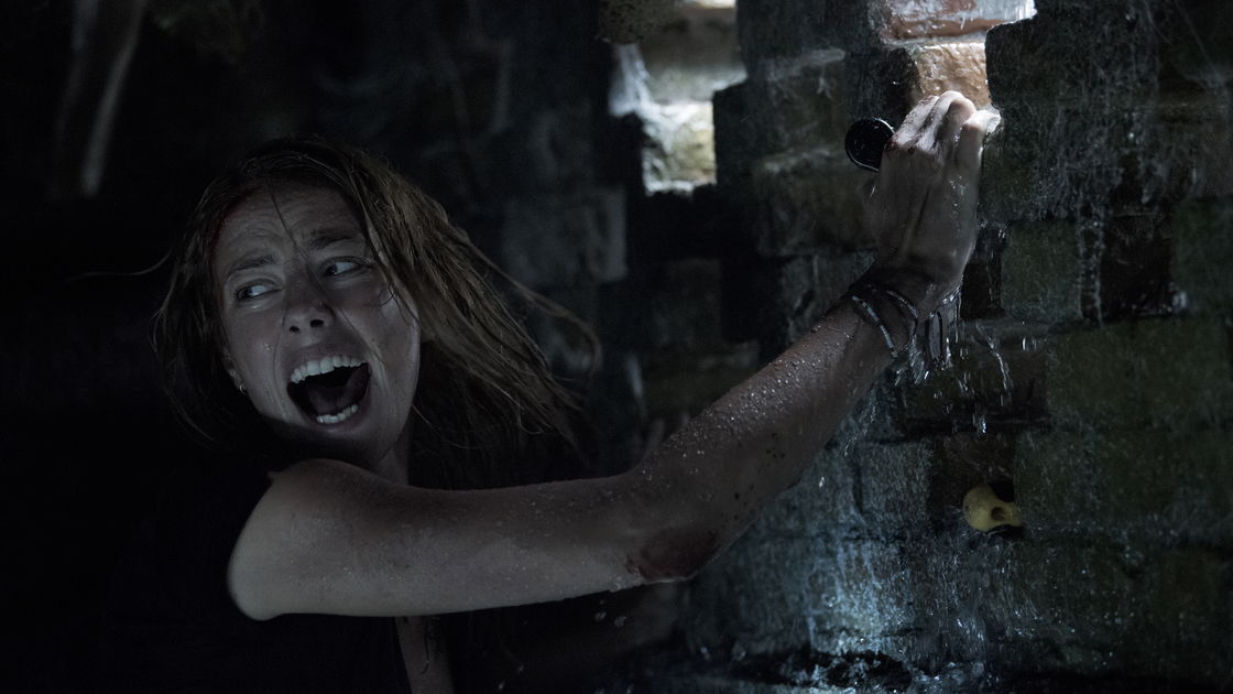 Copertina di Crawl - Intrappolati, la recensione: quella voglia di estate horror, tra alligatori e alluvioni