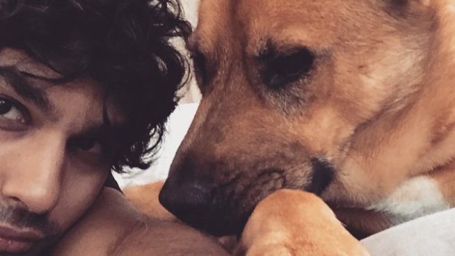 Copertina di Raj di The Big Bang Theory riceve un bacio appassionato... dal suo cane