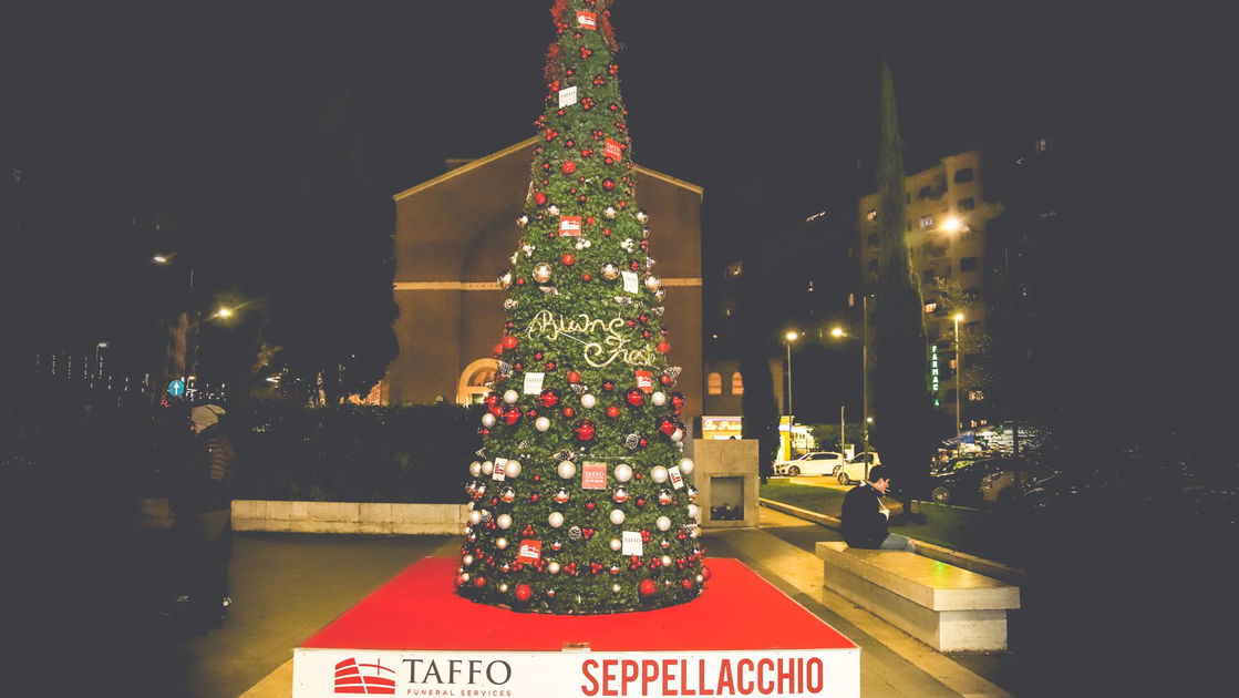Copertina di Ecco Seppellacchio, l'albero di Natale alternativo di Taffo