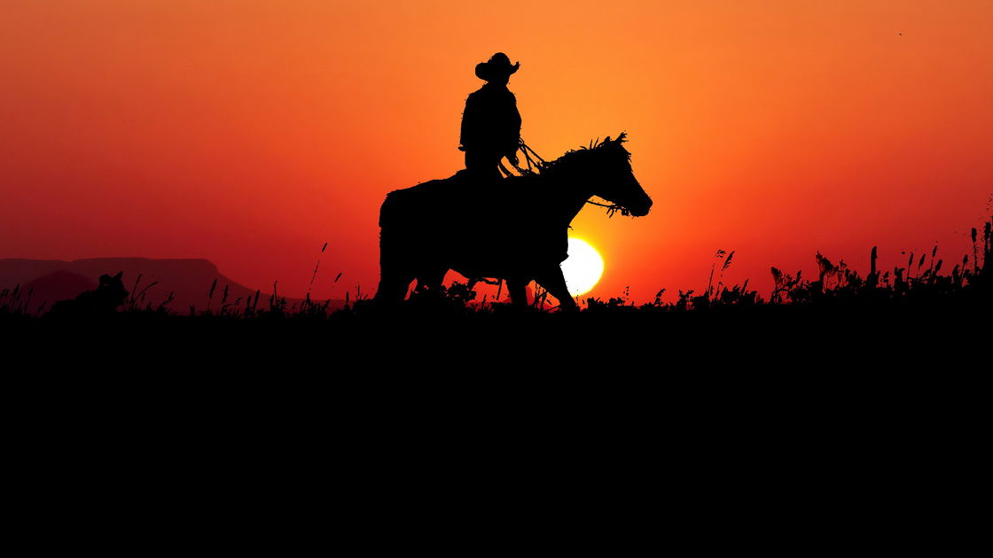 Copertina di Aloha Rodeo, Disney realizzerà un film ispirato al libro sui paniolos