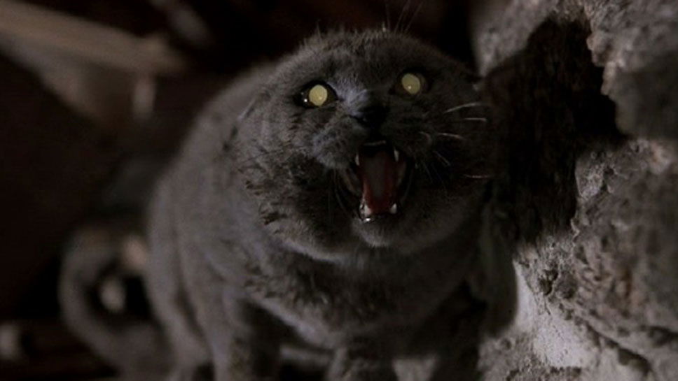 Copertina di Pet Sematary: trama e cast del film basato sul romanzo di Stephen King