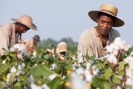 Copertina di Film sul razzismo: i consigli di Netflix Italia