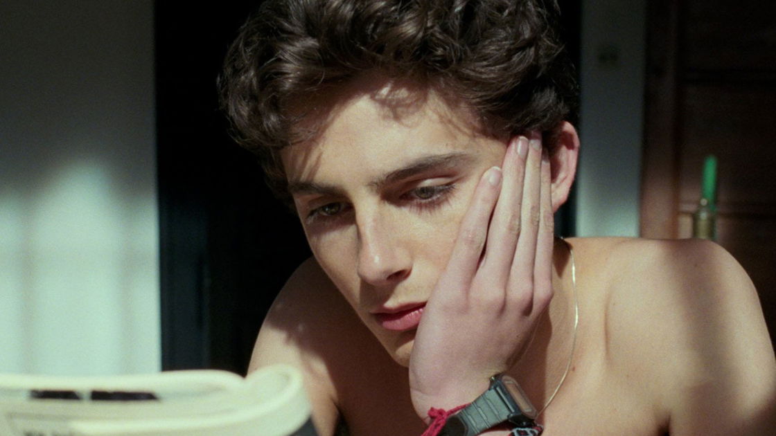 Copertina di Timothée Chalamet e Luca Guadagnino al lavoro su un horror romantico (che parla di cannibalismo)