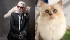 Copertina di Choupette, la gatta amata da Karl Lagerfeld, erediterà parte della sua fortuna
