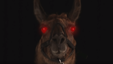 Copertina di Llamageddon, l'horror trash con un lama è in streaming a un milione di dollari!