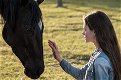 Black Beauty: Autobiografia di un cavallo, trailer e trama del film Disney