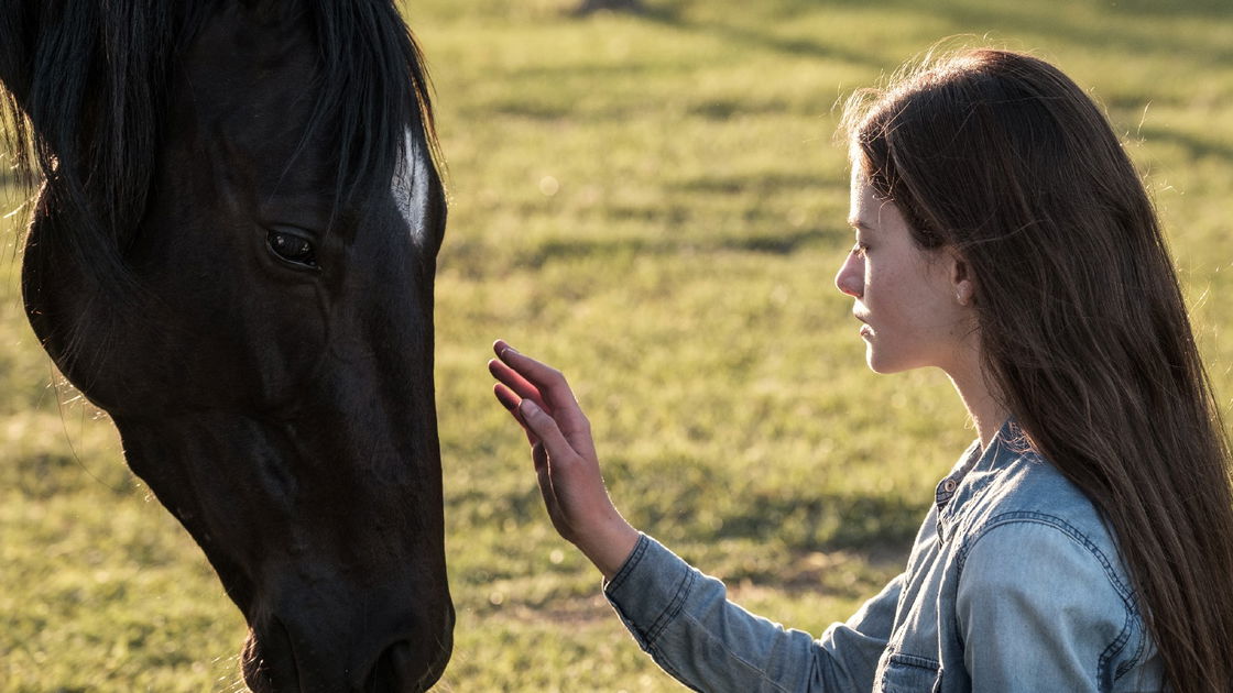 Copertina di Black Beauty: Autobiografia di un cavallo, trailer e trama del film Disney