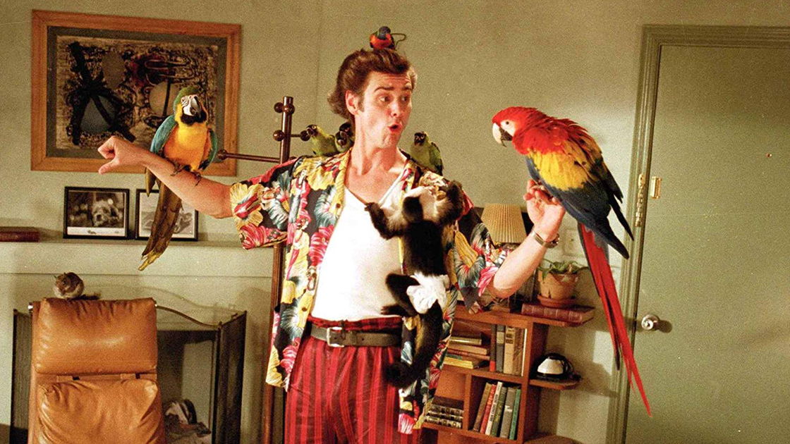 Copertina di Ace Ventura 3 sarebbe in lavorazione e Jim Carrey potrebbe tornare