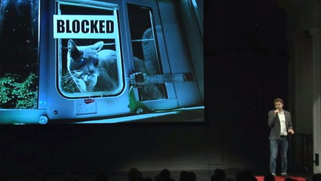 Copertina di La porta elettronica che decide se il tuo gatto può entrare con le sue prede