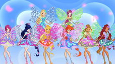 Copertina di Le Winx diventano una serie TV live action