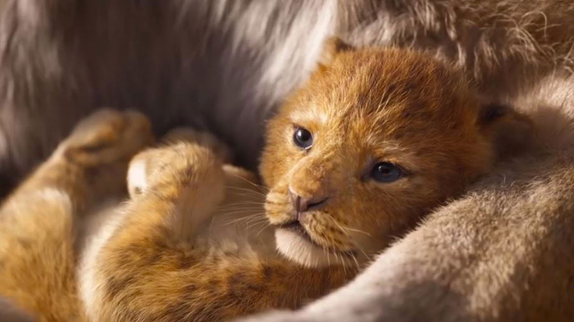 Copertina di Il Re Leone debutta in Italia con quasi 3 milioni di euro: il quinto miglior esordio di sempre