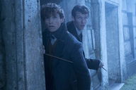 Copertina di Animali Fantastici 3: riprese imminenti; confermato il ritorno di Theseus Scamander