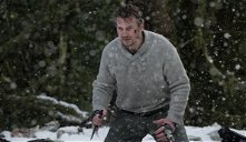 Copertina di The Grey, cosa accade nel finale del film con Liam Neeson (e quanto di vero c'è nei lupi visti)