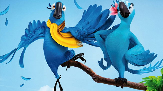Copertina di L'Ara di Spix è estinta in natura: la specie che ha ispirato il film Rio volerà libera solo nella fantasia