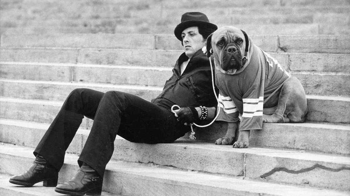 Copertina di Rocky Balboa: storia, curiosità e frasi dell'intramontabile personaggio di Stallone
