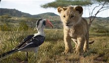 Copertina di Il Re Leone, Disney lancia una campagna per proteggere i veri leoni africani