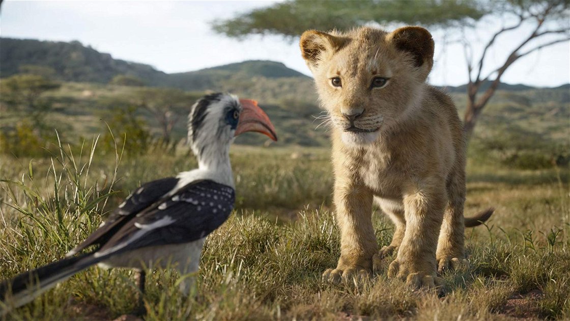 Copertina di Il Re Leone, Disney lancia una campagna per proteggere i veri leoni africani