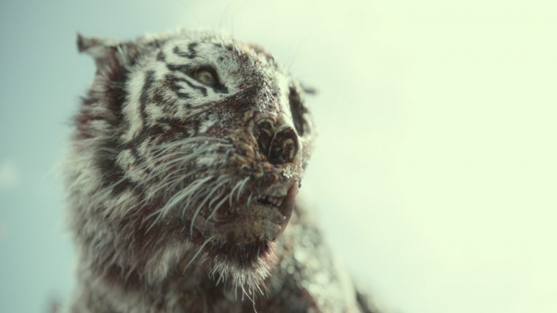Copertina di Cinque cose da sapere su Valentine, la tigre zombie di Army of the Dead