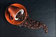 Copertina di La Svizzera dichiara che 'Il caffé non è necessario alla vita': il web non è d'accordo