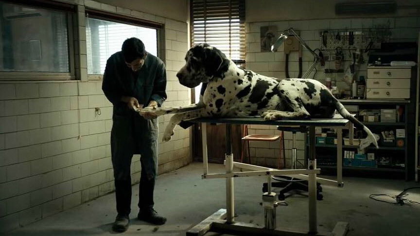 Copertina di Dogman: le (vere) location e dov'è stato girato il film di Garrone