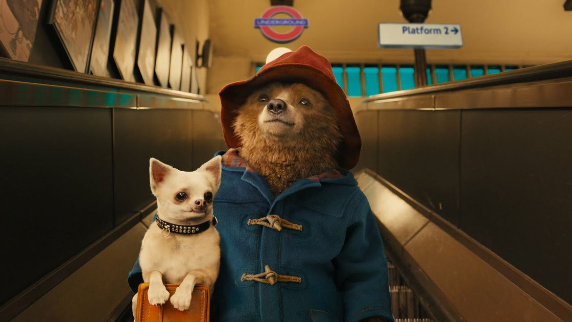 Copertina di Paddington lascia Elisabetta II e va in Perù