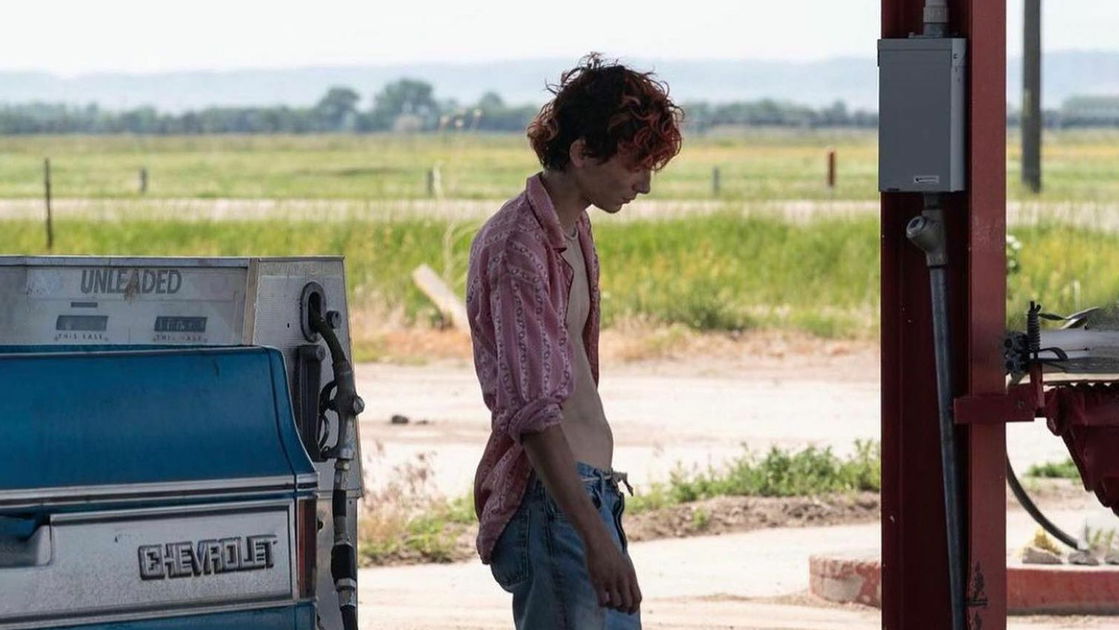 Copertina di Bones And All di Luca Guadagnino sarà molto, molto violento