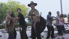 Copertina di The Walking Dead, una continuazione è possibile?