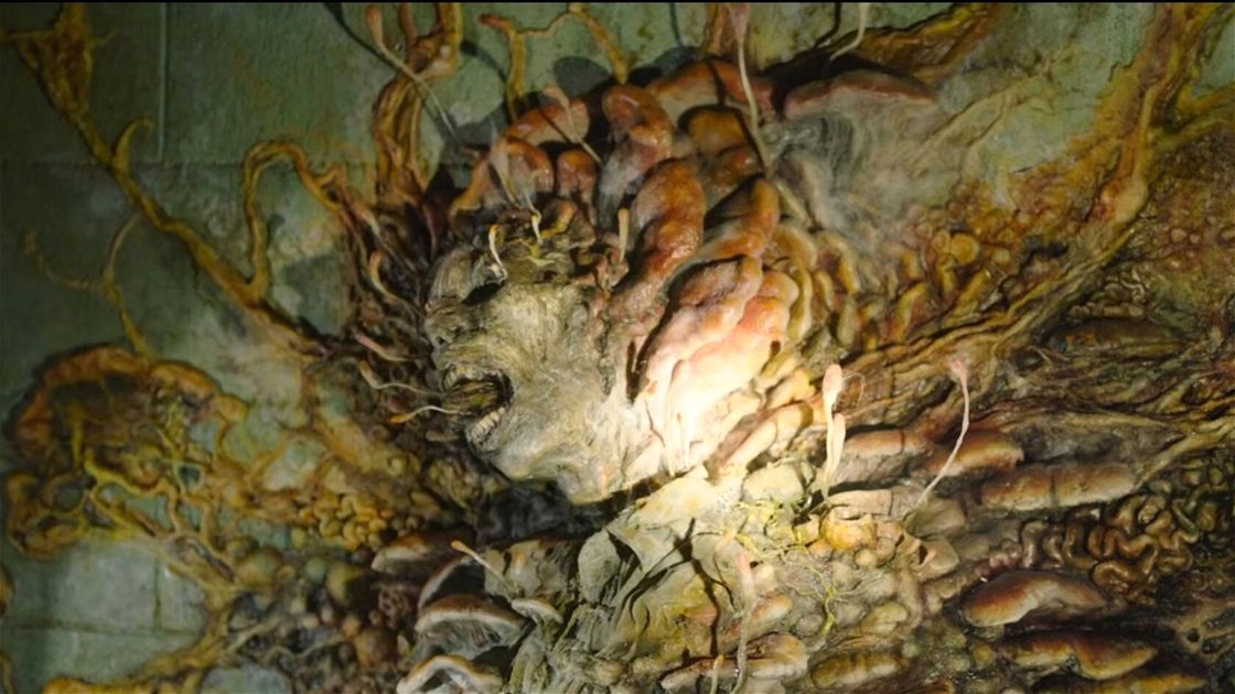 Copertina di The Last of Us, come funziona l'infezione del fungo Cordyceps