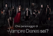 Cover of What character from The Vampire Diaries are you?